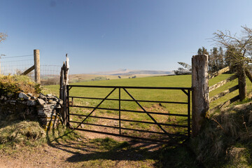 Fototapeta premium fence in the field