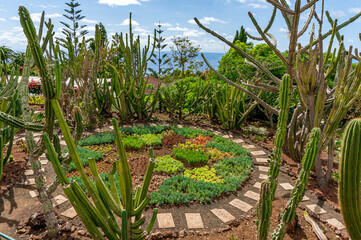 Cactus botanical garden from Madeira. Circle botanical garden 