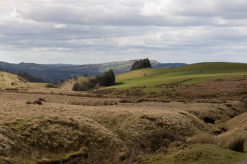 Obraz premium view of the countryside