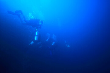 Fototapeta na wymiar divers in the ocean, underwater sport active recreation in the deep ocean