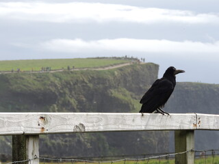 Acantilados de Moher, Irlanda. Con unas impresionantes vistas.