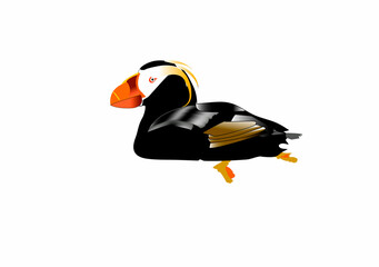 Alaskan Tufted Puffin
