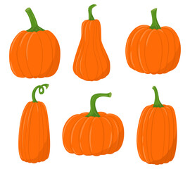 A set of colored flat pumpkin icons. Autumn farmer's harvest, Thanksgiving day. Vegetable pumpkin symbol. Flat cartoon style. Color vector illustration isolated on a white background