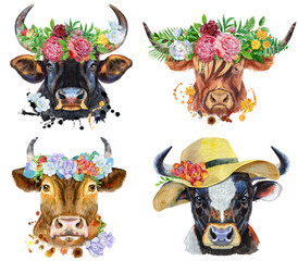 Set of watercolor bulls on white background.