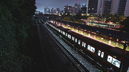 Fototapeta na wymiar Night futuristic Japan