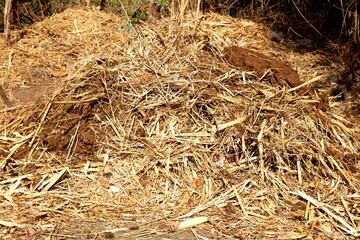 View of dry grass straw stack