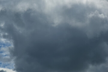 Fototapeta premium Gray and white rolling puffy clouds floating in the sky. Concept Storm Clouds Raining.