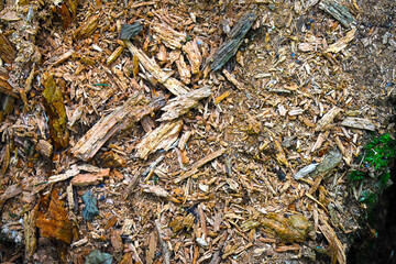 wood chips in the forest background texture
