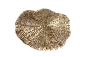Macro mineral stone Pyrite Dollar on a white background