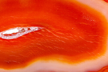 Macro mineral orange agate in crystals on white background