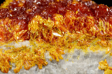 Macro Mineral Stone Orpiment on Black Background