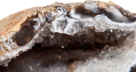 Macro mineral stone agate kidney gerbera on white background close up