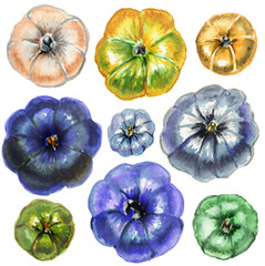 set of beautiful multi-colored watercolor pumpkins on a white square background .  watercolor autumn illustration