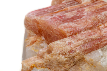 Macro mineral stone Tourmaline in the breed a white background