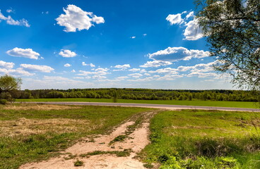 Forest, field, road against blue sky and white clouds in summer