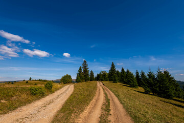 Fototapeta na wymiar Two parallel dirt roads leads to the top of the mountain in Transylvania, Romania.