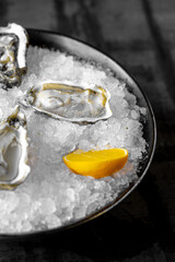 Fresh raw oysters with ice and lemon on dark rustic background