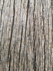 wooden tablecloth dried with veins and knots