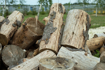 Tree stumps for preparation of cutting firewood. The stumps of the tree trunk are harvested on the street.