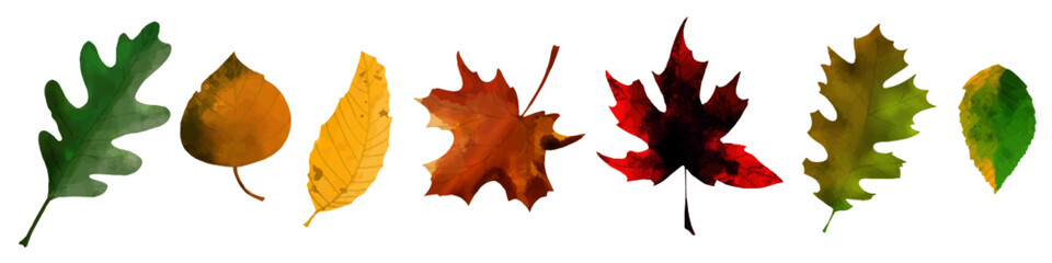Autumn Leaf Collection Watercolor