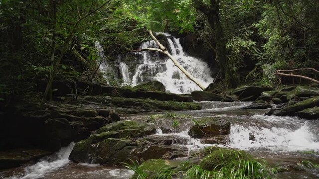 A beautiful large waterfall in a tropical evergreen forest. rich forest northern thailand