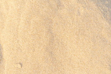 Obraz na płótnie Canvas Sand texture background. Brown desert pattern on tropical beach.