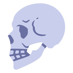 skull icon