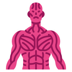 sinews muscle icon