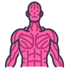 sinews muscle icon