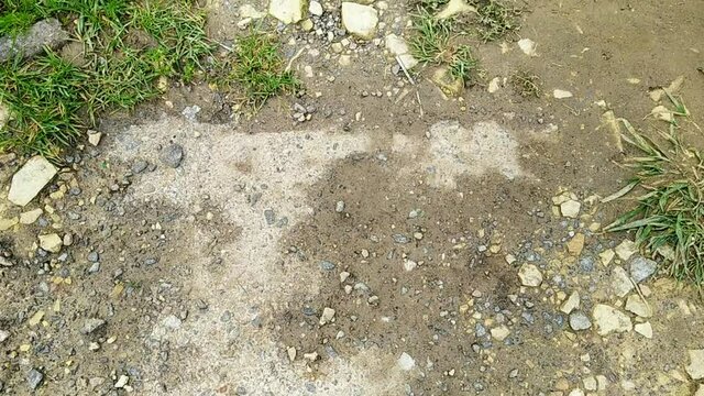 camera moves from bottom to top and captures a dirty and insignificant sidewalk in the city