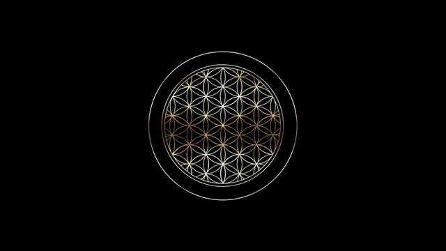 Golden Flower of Life sacred geometry black background