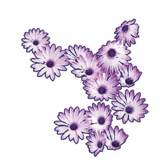 Daisy flower vector illustration painting. Isolated vectors can be placed on any object. 