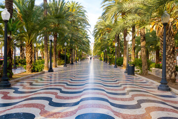  Paseo de la Explanada with its palm trees and its characteristic pavement mosaics in the early morning. Alicante - obrazy, fototapety, plakaty
