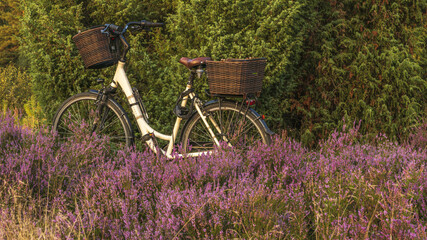 Schwindebecker Heide