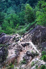 Walkway into deep forest, mountain hiking, rain forest