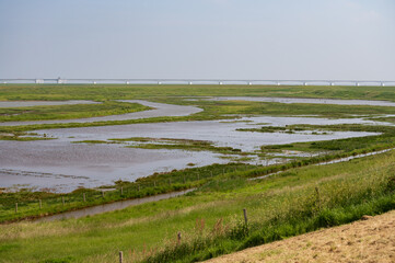 Aerial view and green nature landscape of Zeeland, Netherlands,