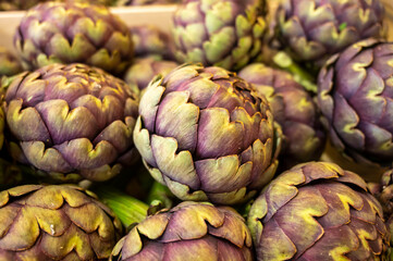 Fototapeta na wymiar New harvest of French violet globe artichokes on weekly market in Provence, France