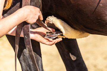 A rider lashes straps of a western saddle