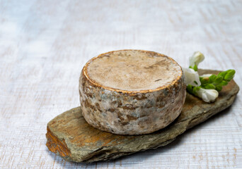 Cheese collection, matured cow cheese with mold tommette de savoie from France, cheese made in Alpine mountains