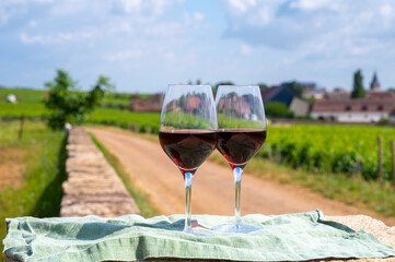 Tasting of burgundy red wine from grand cru pinot noir  vineyards, two glasses of wine and view on green vineyards in Burgundy Cote de Nuits wine region, France