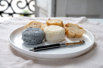 Cheese collection, french goat cheese crottin served with french bread