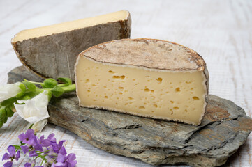 Cheese collection, matured cow cheese with mold tommette de savoie from France, cheese made in Alpine mountains
