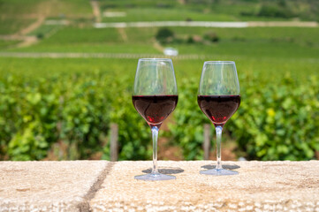 Tasting of burgundy red wine from grand cru pinot noir  vineyards, two glasses of wine and view on green vineyards in Burgundy Cote de Nuits wine region, France