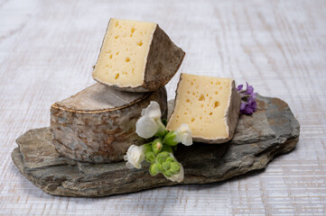Cheese collection, matured cow cheese with mold tommette de savoie from France, cheese made in Alpine mountains