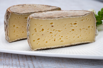 Cheese collection, matured cow cheese with mold tommette de savoie from France, cheese made in Alpine mountains