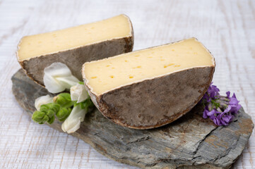 Cheese collection, matured cow cheese with mold tommette de savoie from France, cheese made in Alpine mountains