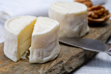 Cheese collection, soft goat French cheese with mold crottin de Chavignol produced in Loire Valley