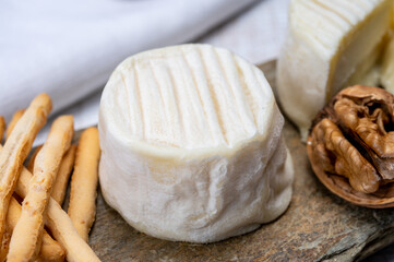 Cheese collection, soft goat French cheese with mold crottin de Chavignol produced in Loire Valley