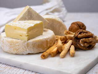 Cheese collection, fresh white soft cow cheese with mold from Swiss