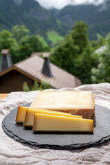 Cheese collection, French cow cheese comte, beaufort, abondance and french mountains village in Haute-Savoie on background
